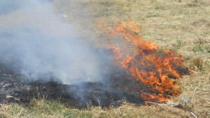 Seară de foc pentru pompierii constănţeni: au ars 30 de hectare de vegetaţie uscată!